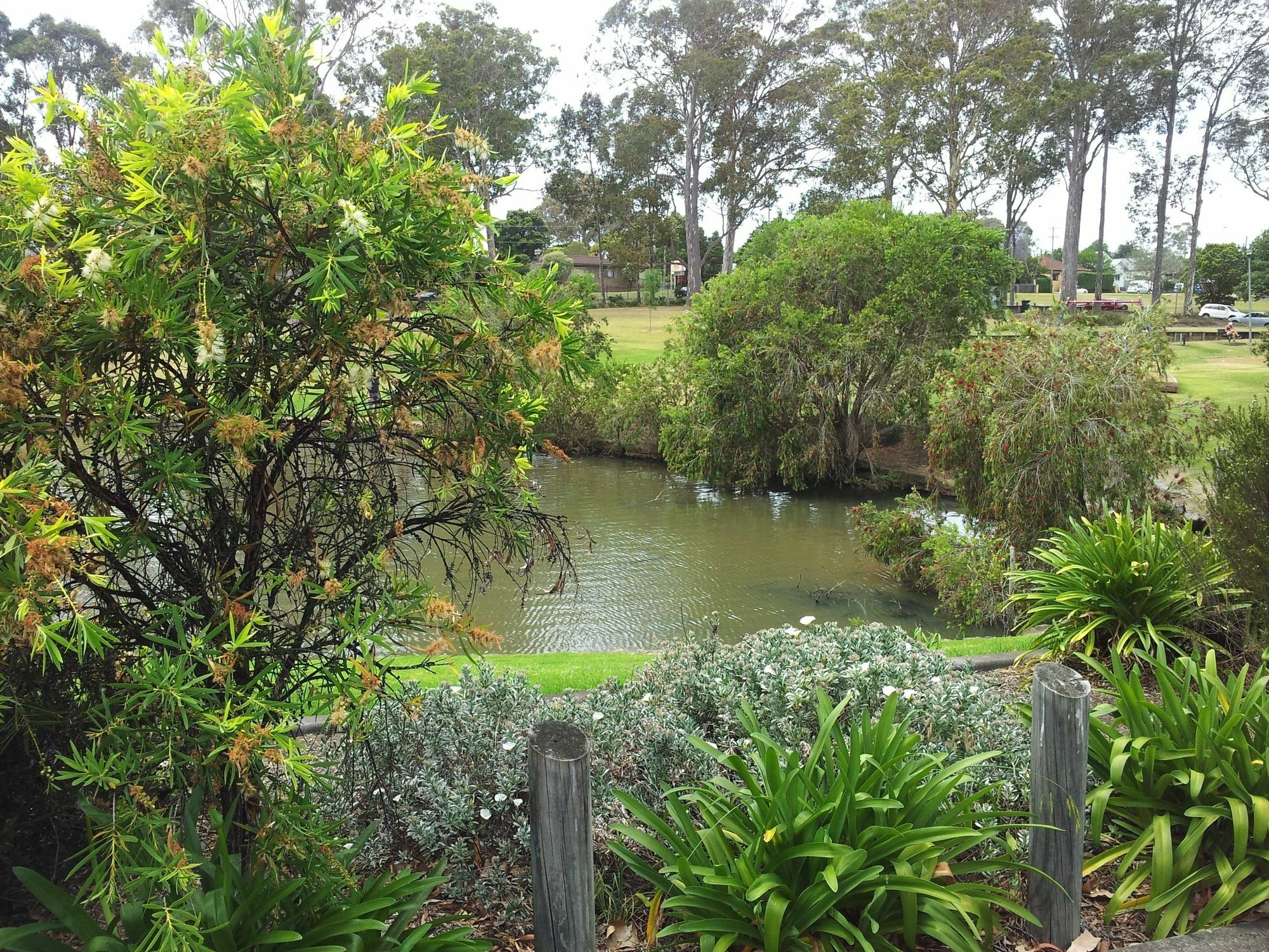 Marriott Park Motel Nowra Esterno foto